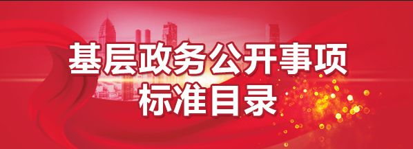 无锡市基层政务公开目录