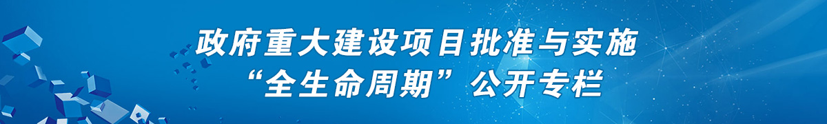 重大建设项目批准与实施领域